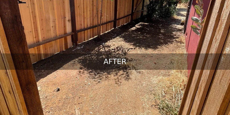 A clean alley way post-junk removal